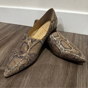 Sole Society So-Kapa Brown Snake Print Women's Loafers
